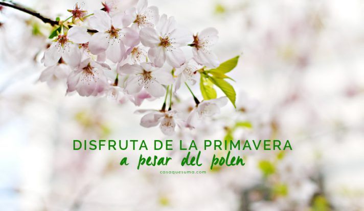 primavera alergia polen