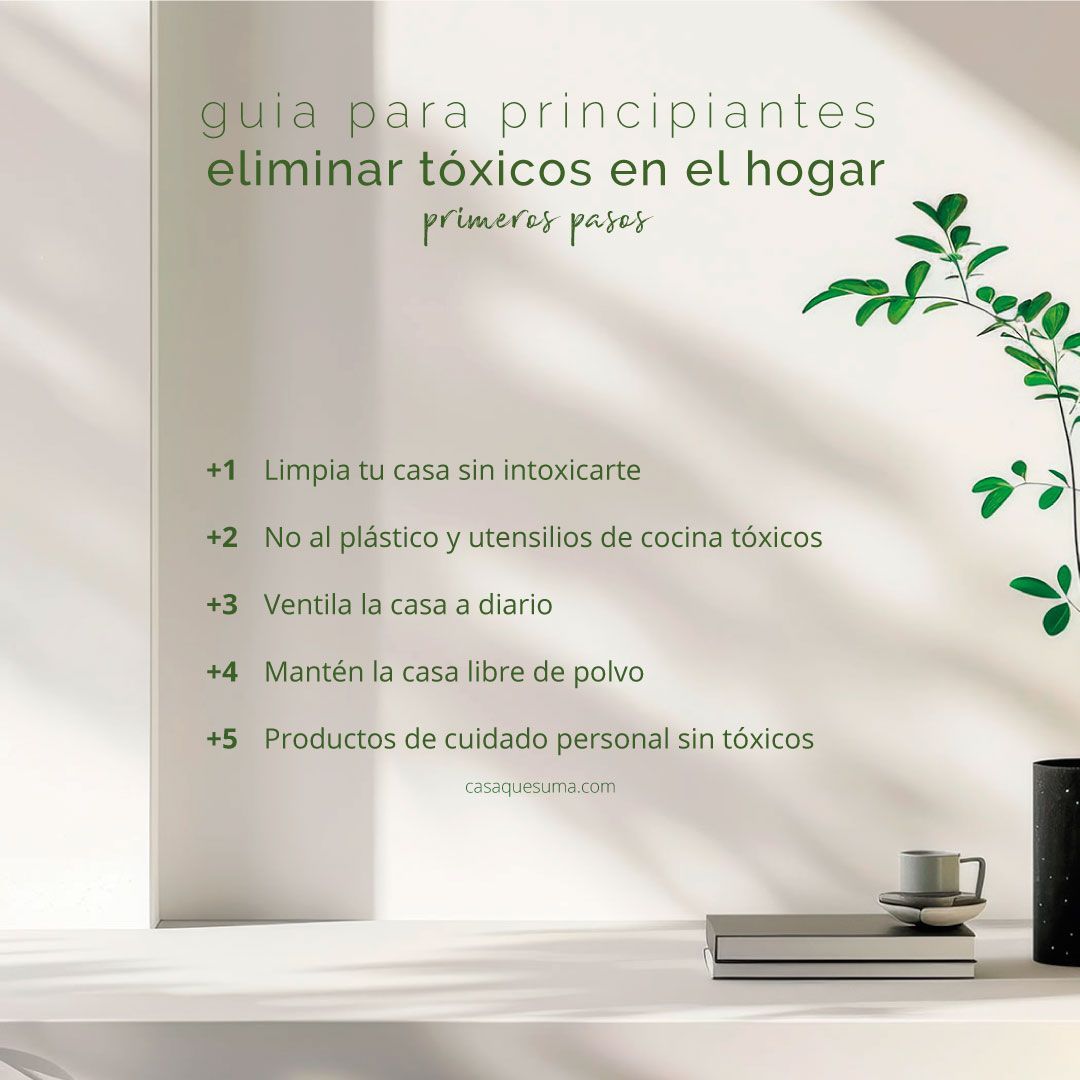 Eliminar toxicos en el hogar de forma facil y sencilla 