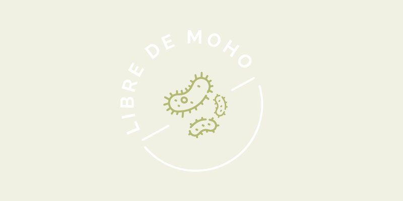 soluciones para el moho en paredes y madera