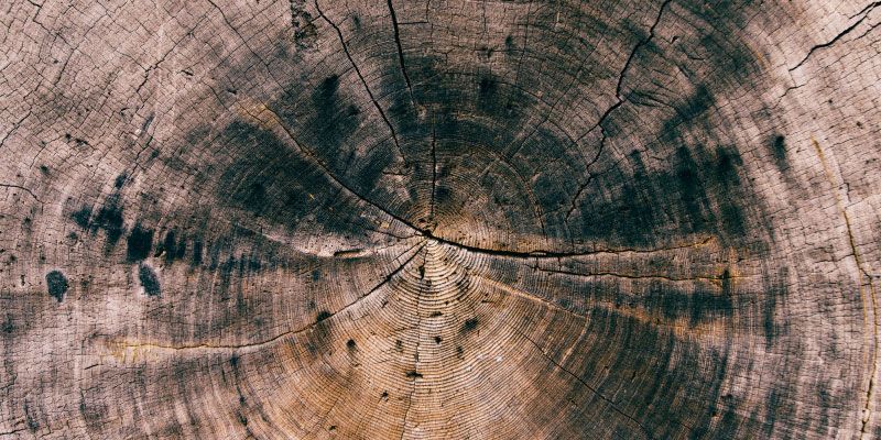 Moho negro madera como eliminar ecologica y natural sin toxicos prevenir
