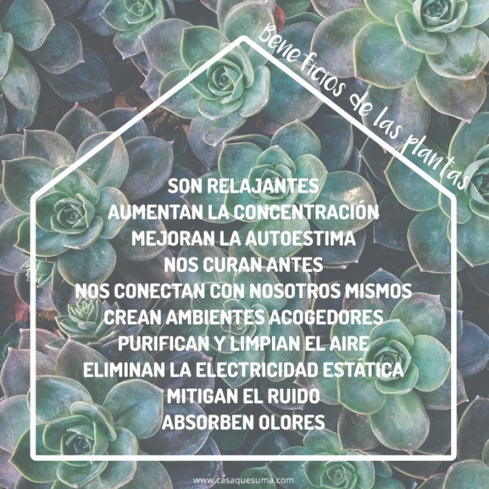Beneficios-de-las-plantas