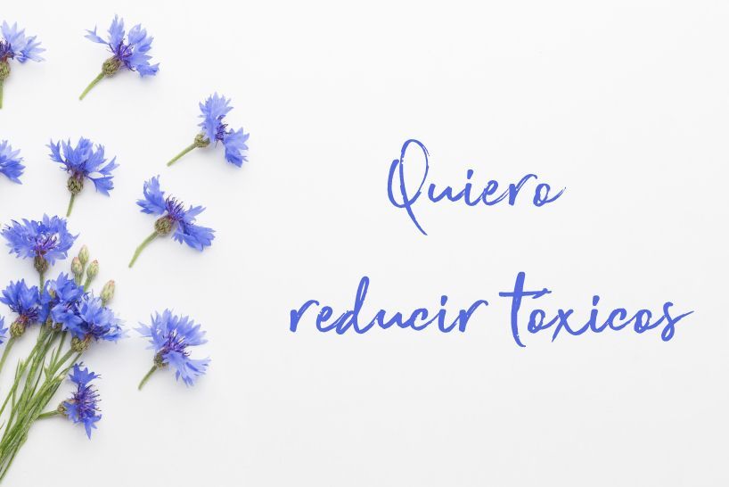 reducir tóxicos en casa