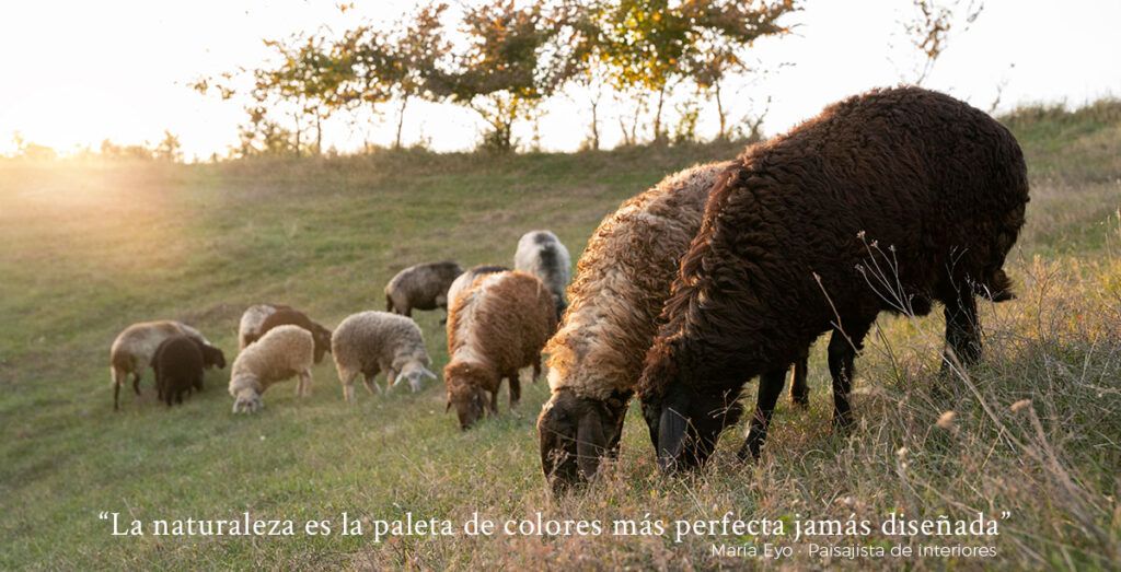 colores naturaleza neutros sin tintes biofilia