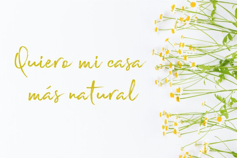 casa natural ecológica y sostenible sin toxicos