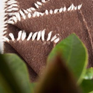 Textil hogar orgánico y natural