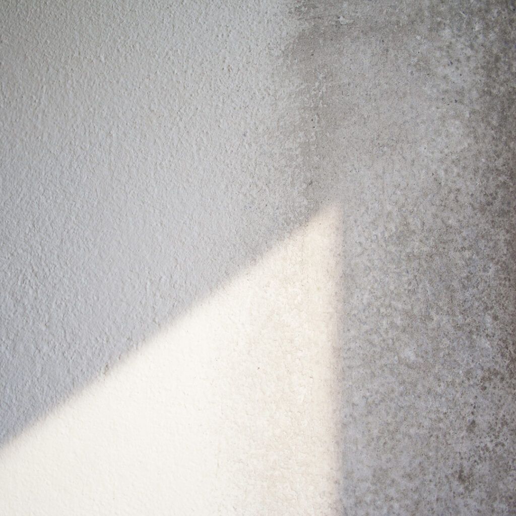 moho soluciones ecologicas y sin toxicos
