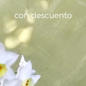 Pinturas naturales y aceites madera (en oferta)