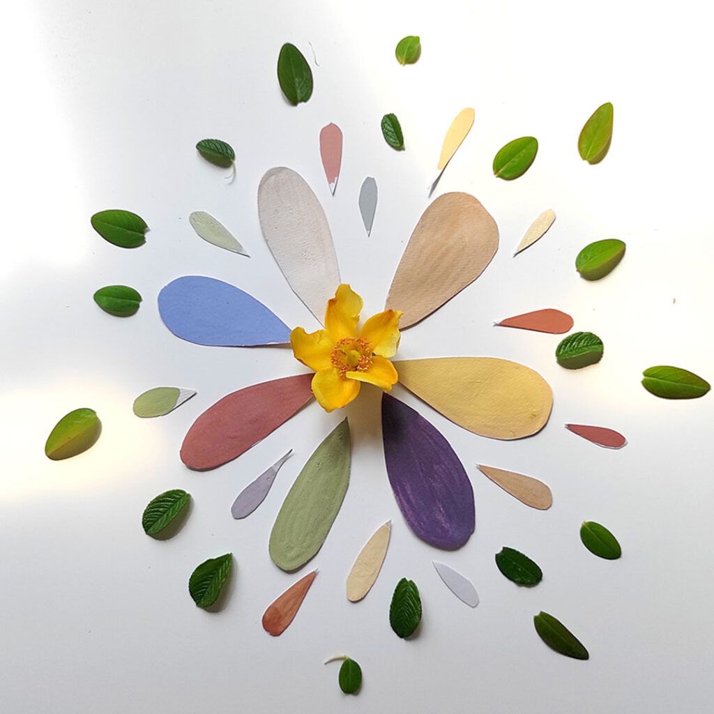 Pigmentos para pinturas vegetales