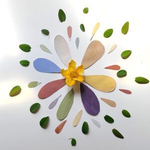 Pigmentos para pinturas vegetales