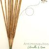 Incienso antimosquitos