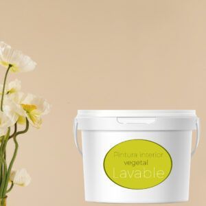 pintura natural vegetal lavable pared sin toxicos sana