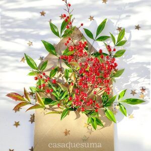 regalo navidad ecológico sano